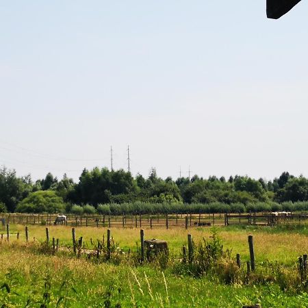 Ruime Romantische Blokhut Zwaanshoek Eksteriør bilde