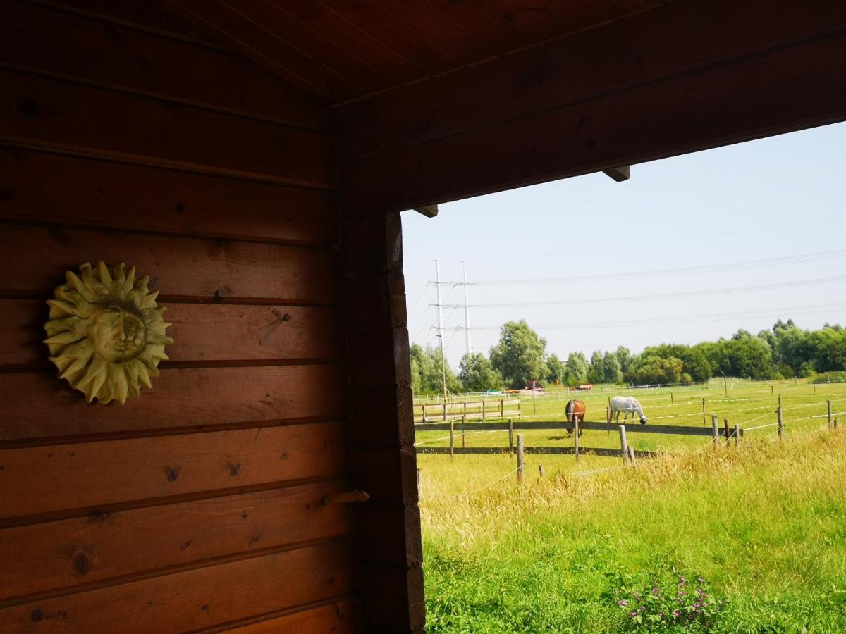 Ruime Romantische Blokhut Zwaanshoek Eksteriør bilde